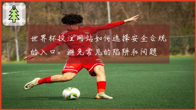 世界杯投注网站如何选择安全合规的入口，避免常见的陷阱和问题