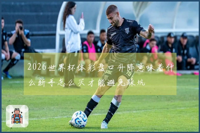 2026世界杯体彩盘口升降意味着什么新手怎么买才能避免踩坑