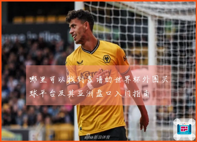 哪里可以找到靠谱的世界杯外围买球平台及其亚洲盘口入门指南