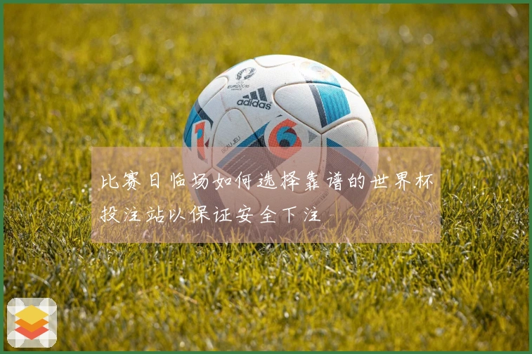 比赛日临场如何选择靠谱的世界杯投注站以保证安全下注
